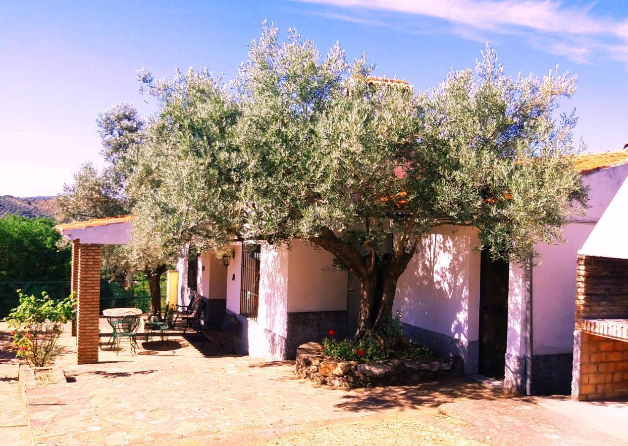 Cortijo "Era Grande 2" Villa Cordoba Exterior photo